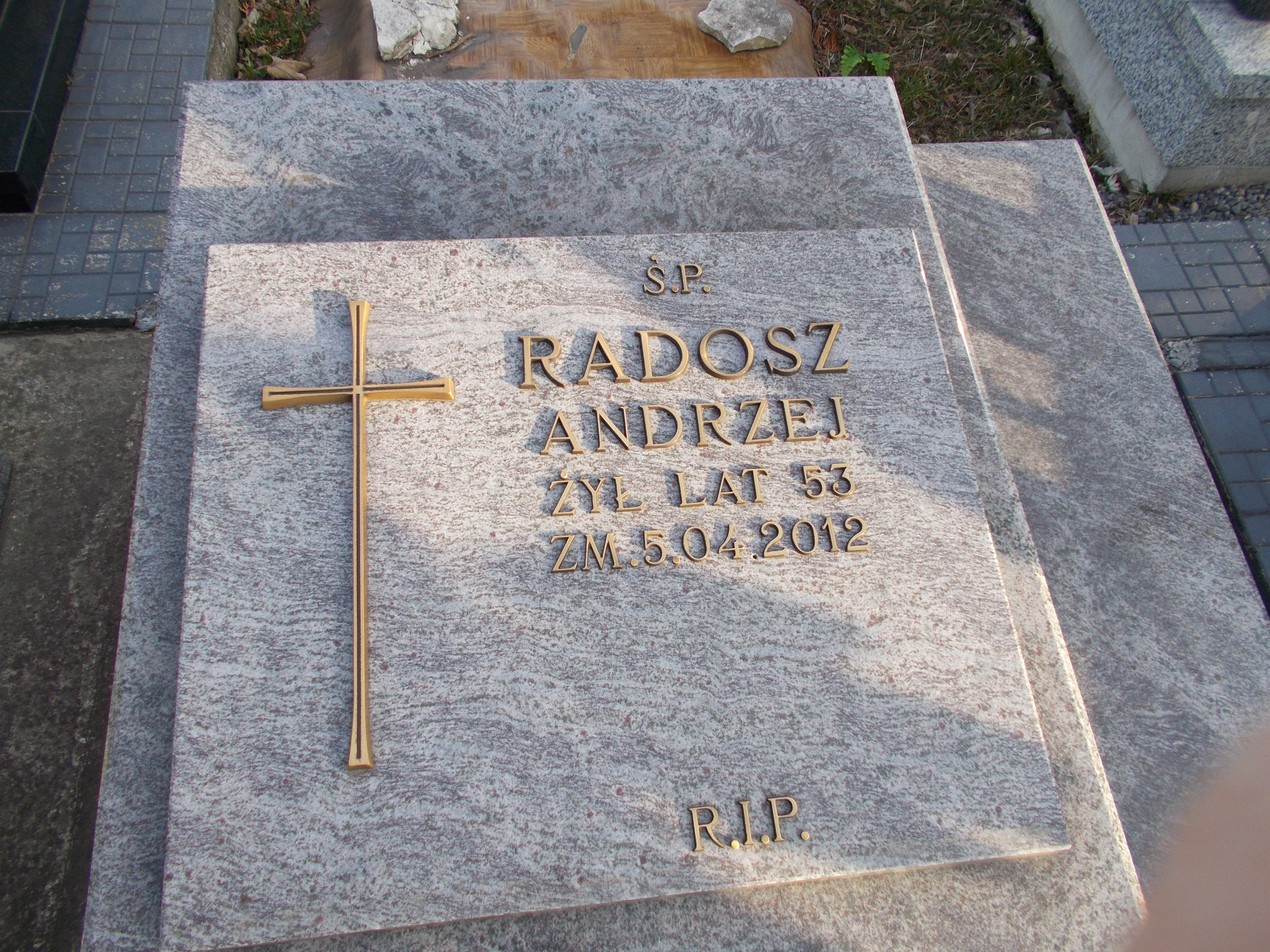 Andrzej Radosz 1958 Ogrodzieniec - Grobonet - Wyszukiwarka osób pochowanych